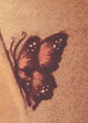 rozowy-motyl-blog